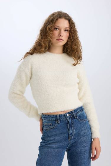 Regular Fit Crew Neck Knitwear Pullover