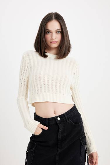 Regular Fit Crew Neck Knitted Crop Pullover