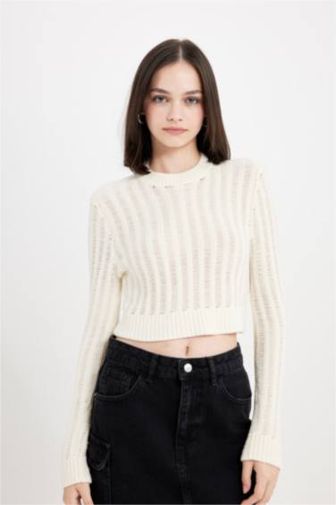 Regular Fit Crew Neck Knitted Crop Pullover