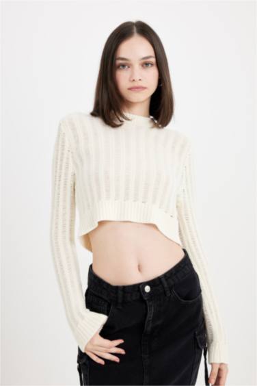Regular Fit Crew Neck Knitted Crop Pullover