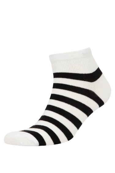 Boy 5 Piece Cotton Ankle Socks
