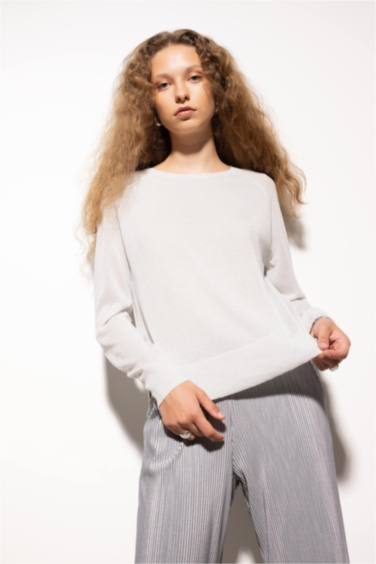 Regular Fit Crew Neck Basic Knit Pullover