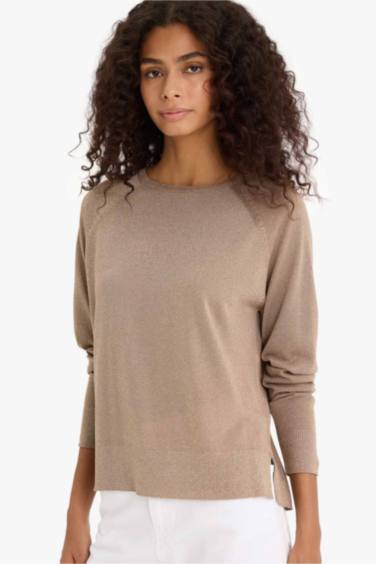 Regular Fit Crew Neck Knitted Pullover