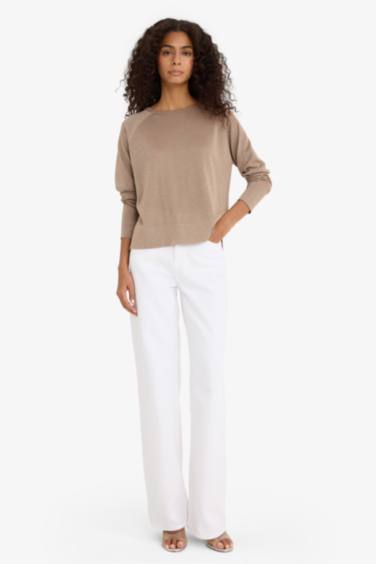 Regular Fit Crew Neck Knitted Pullover