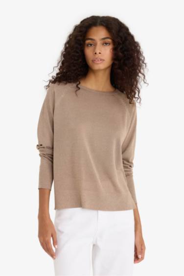 Regular Fit Crew Neck Knitted Pullover