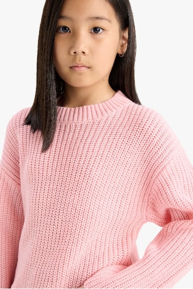 Girl Standard Fit Crew Neck Knit Pullover
