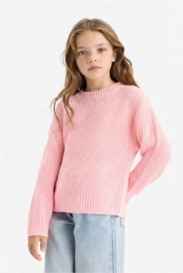 Girl Standard Fit Crew Neck Knit Pullover