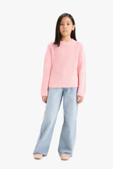 Girl Standard Fit Crew Neck Knit Pullover
