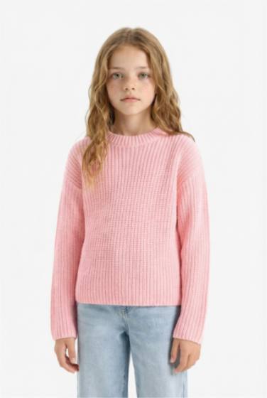 Girl Standard Fit Crew Neck Knit Pullover