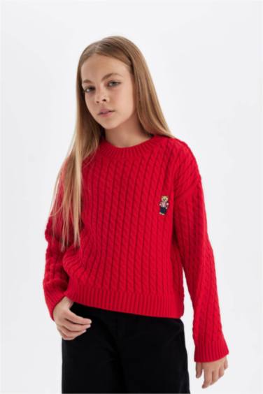 Girl Standard Fit Crew Neck Knitted Pullover