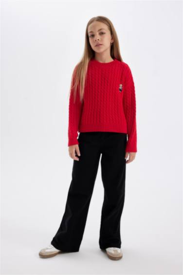 Girl Standard Fit Crew Neck Knitted Pullover