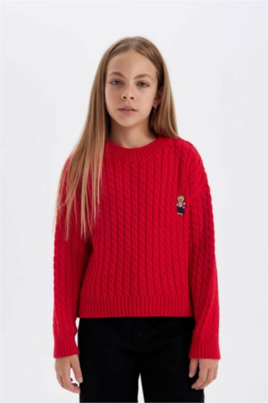 Girl Standard Fit Crew Neck Knitted Pullover