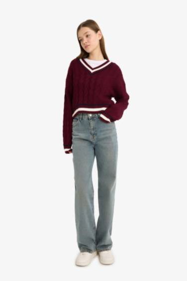 Regular Fit V Neck Knit Pullover