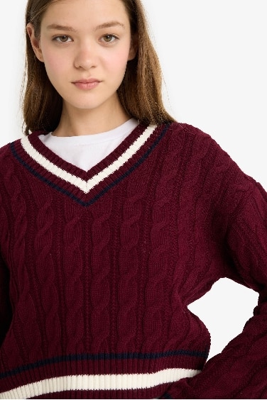 Regular Fit V Neck Knit Pullover