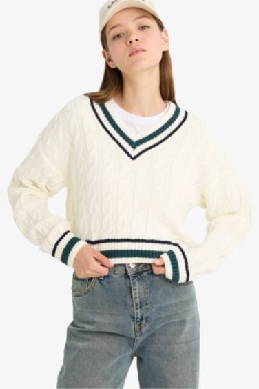 Regular Fit V Neck Knit Pullover