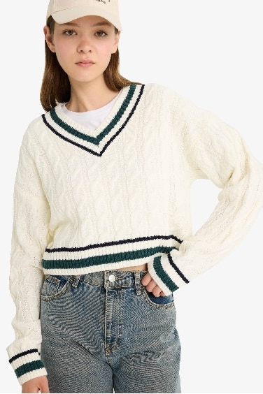 Regular Fit V Neck Knit Pullover