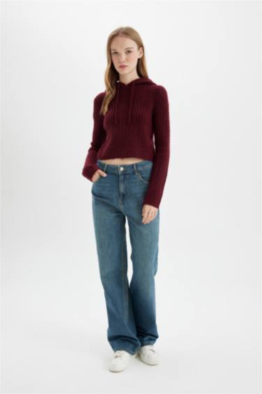 Regular Fit Basic Hooded Crop Knit Pullover