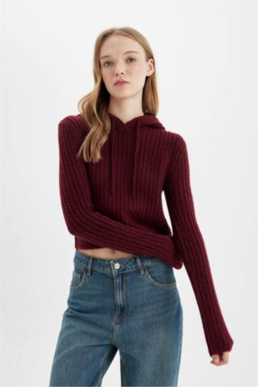 Regular Fit Basic Hooded Crop Knit Pullover