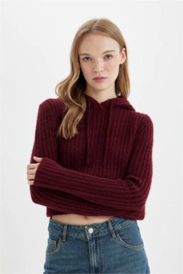 Regular Fit Basic Hooded Crop Knit Pullover