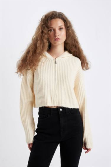 Regular Fit Kapüşonlu Fermuarlı Triko Hırka