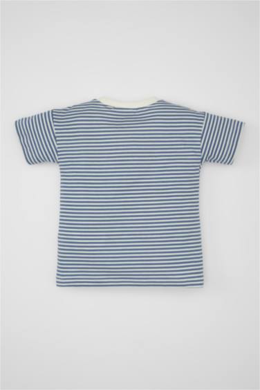 Baby Boy Regular Fit Vehicle Printed T-Shirt