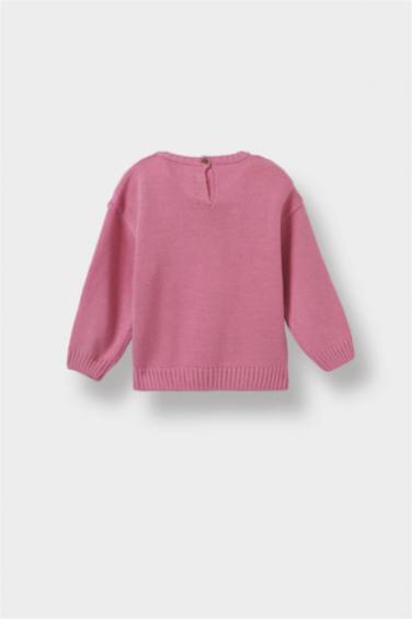 Baby Girl Regular Fit Crew Neck Knit Pullover