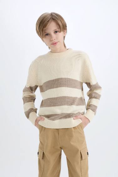 Boy Regular Fit Crew Neck Striped Knitwear Pullover