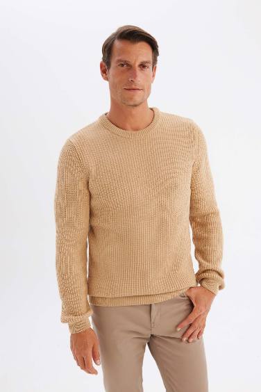 Beige Standard Fit Crew Neck Textured Knitted Pullover