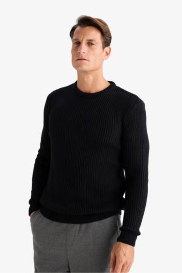 Pull tricot à col rond Coupe standard