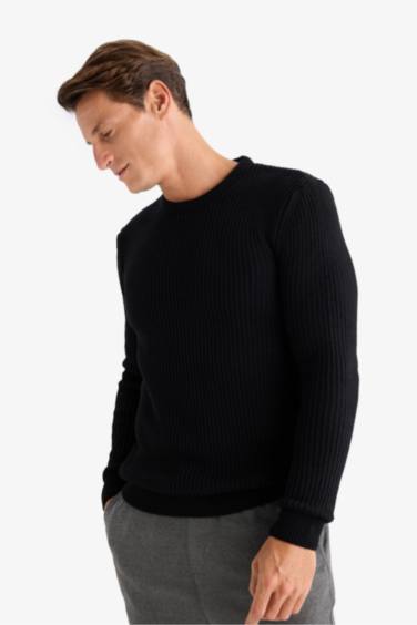 Pull tricot à col rond Coupe standard