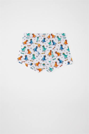 بوكسر ولادي بطبعة ديناصور - 3 قطع