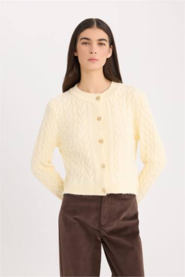 جاكيت تريكو قصة عادية بياخة مستديرة