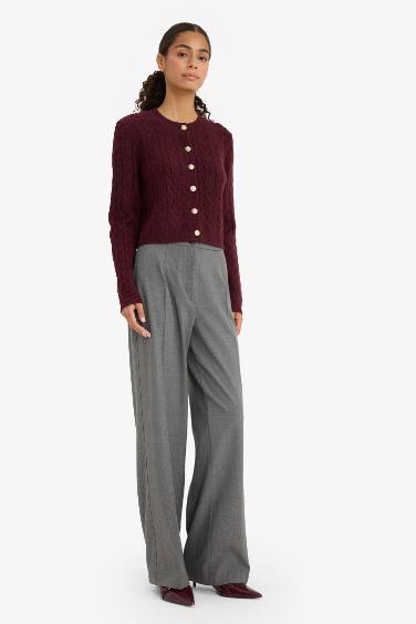 Regular Fit Bisiklet Yaka Selanik Örgü Desenli Triko Hırka