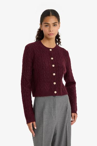 Regular Fit Bisiklet Yaka Selanik Örgü Desenli Triko Hırka