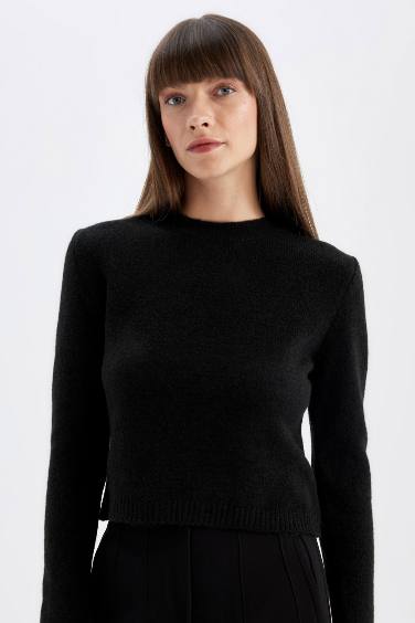 Black Regular Fit Crew Neck Premium Basic Crop Pullover