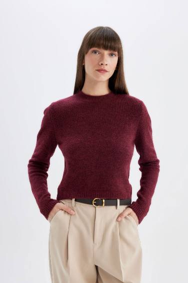 Regular Fit Bisiklet Yaka Premium Basic Düz Crop Kazak