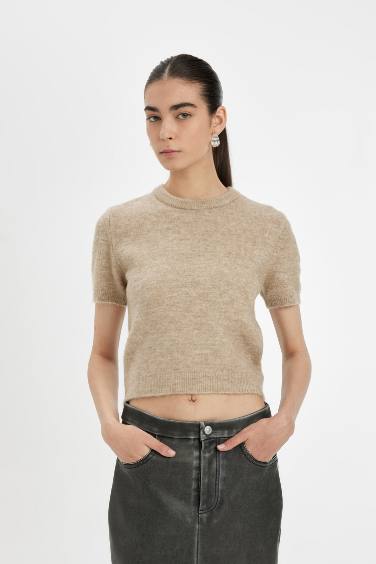 Pull Premium à Coupe régulière et col rond