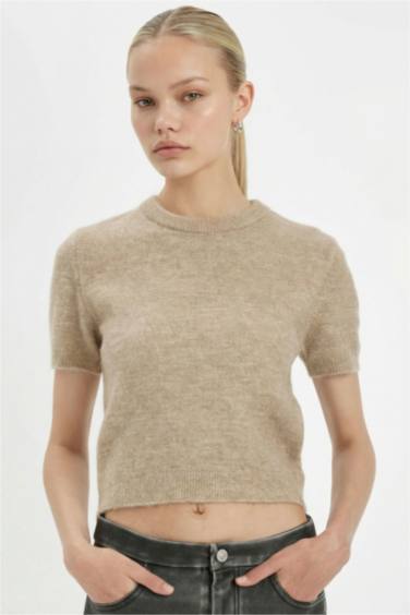 Regular Fit Bisiklet Yaka Premium Basic Düz Kısa Kollu Triko Kazak