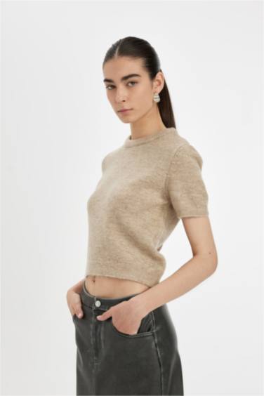 Pull en tricot Premium à col rond Coupe régulière