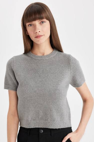 Gray Regular Fit Crew Neck Premium Basic Pullover