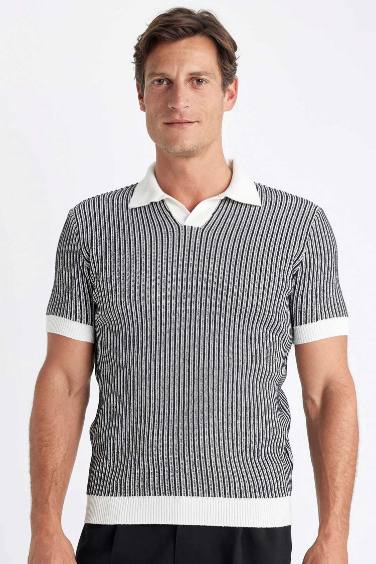 Standard Fit Striped Knitwear Polo T-Shirt