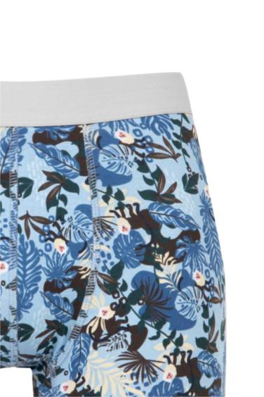 Regular Fıt Hayvan Baskılı 3'lü Boxer