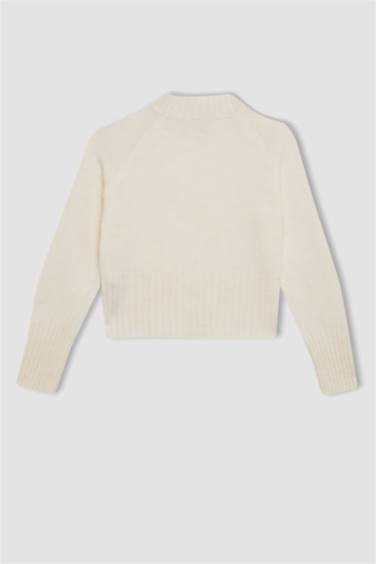 Свитер стандартного кроя с круглым вырезом для девочек