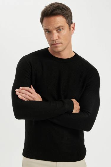 Standard Fit Crew Neck Textured Knitted Pullover