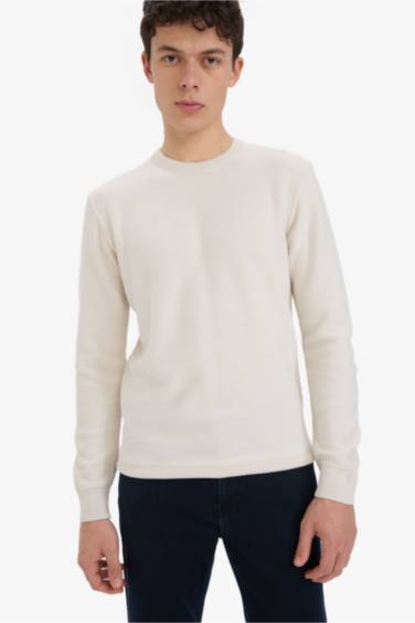 Standard Fit Crew Neck Knitwear Pullover
