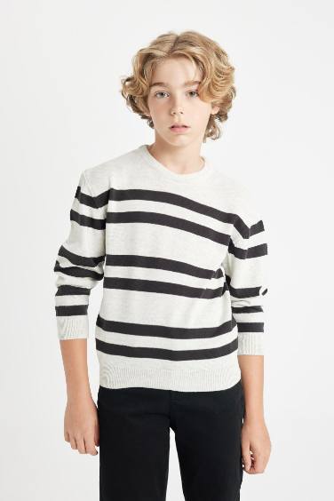 Boy Regular Fit Crew Neck Pullover