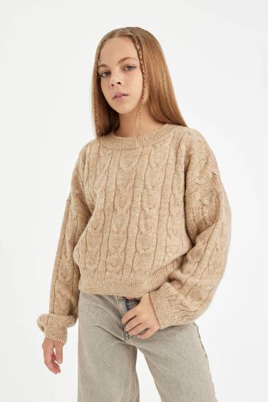 Beige Crew Neck Knitted Crop Pullover