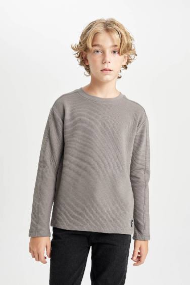 Boy Regular Fit Crew Neck Long Sleeve Basic T-shirt