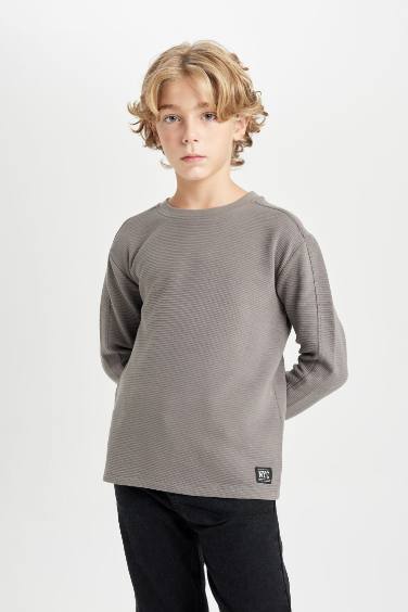 Boy Regular Fit Crew Neck Long Sleeve Basic T-shirt