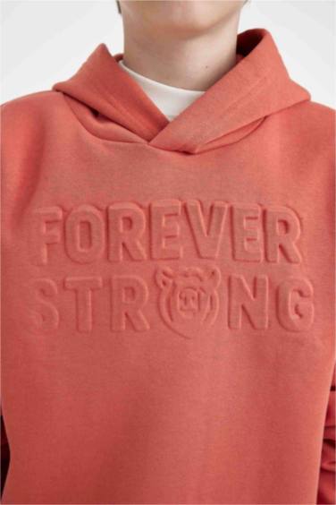 Свитшот с капюшоном стандартного кроя для мальчиков